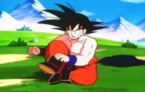 Souliers Son Goku
