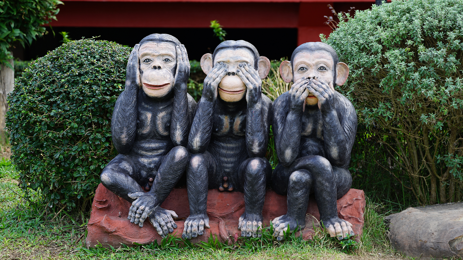 3 Singes - Comment apprendre un texte par coeur - Communicateur Pro